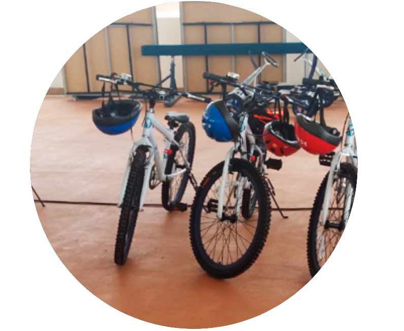 web-seguridad-vital-parques-viales-5