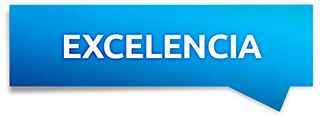 seguridadvital-valores-excelencia