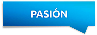 seguridadvital-valores-pasion